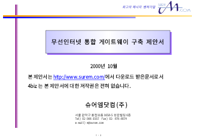 무선인터넷통합제안서 무선인터넷통합제안서